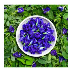 Organic Butterfly Pea Flowers | Blue Tea | Dried Whole Herb