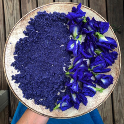 Organic Butterfly Pea Flowers | Blue Tea | Dried Whole Herb