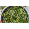 Organic Dried Curry Leaves | Ceylon Premium | 100% Natural