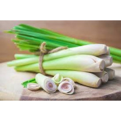 Organic Lemongrass Powder | 100% Natural Ceylon Cymbopogon