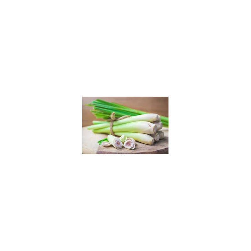 Organic Lemongrass Powder | 100% Natural Ceylon Cymbopogon