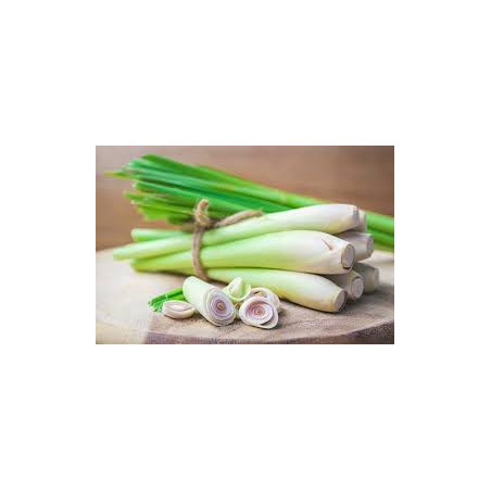 Organic Lemongrass Powder | 100% Natural Ceylon Cymbopogon