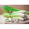 Organic Lemongrass Powder | 100% Natural Ceylon Cymbopogon