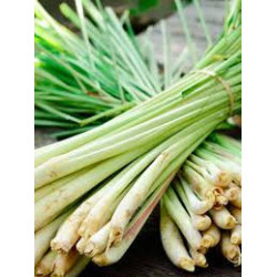 Organic Lemongrass Powder | 100% Natural Ceylon Cymbopogon