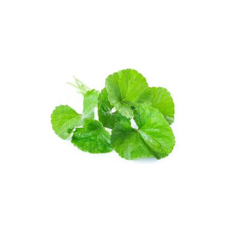 Gotukola Green Tea | Organic Centella Asiatica Ceylon Herbal Tea