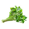 Gotukola Green Tea | Organic Centella Asiatica Ceylon Herbal Tea